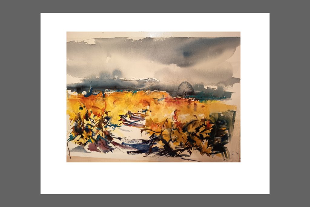 Obra Entre Vinas Foto Destacada