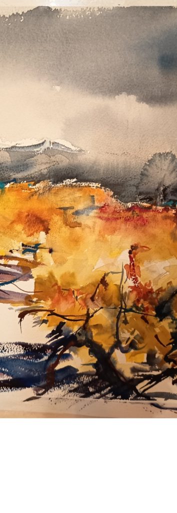 Obra Entre Vinas Foto Destacada